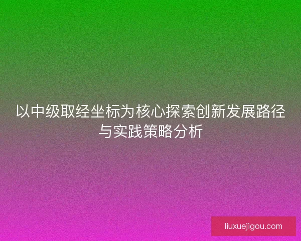 以中级取经坐标为核心探索创新发展路径与实践策略分析