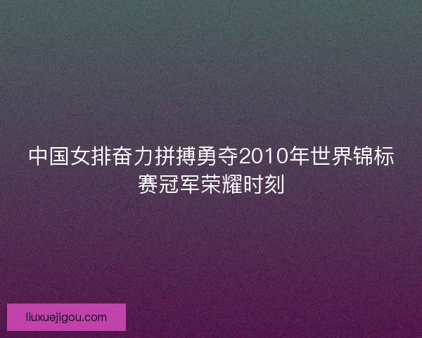 中国女排奋力拼搏勇夺2010年世界锦标赛冠军荣耀时刻